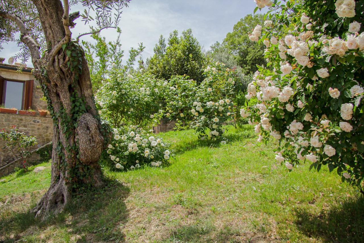 Mas Rovira Guest House Banyoles Exterior photo